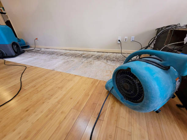 Professional Sewage Cleanup technician working in Tumacacori, AZ
